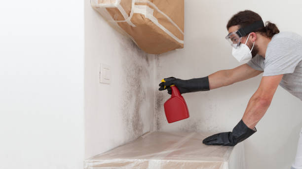 Professional Crawl Space Mold Remediation technician working in Manchester, WA