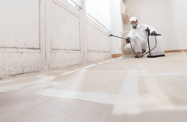 24/7 Emergency Crawl Space Mold Remediation experts in Manchester, WA