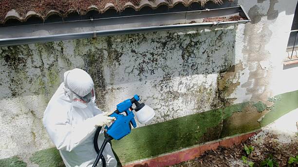 Top rated local Crawl Space Mold Remediation specialists in Manchester, WA